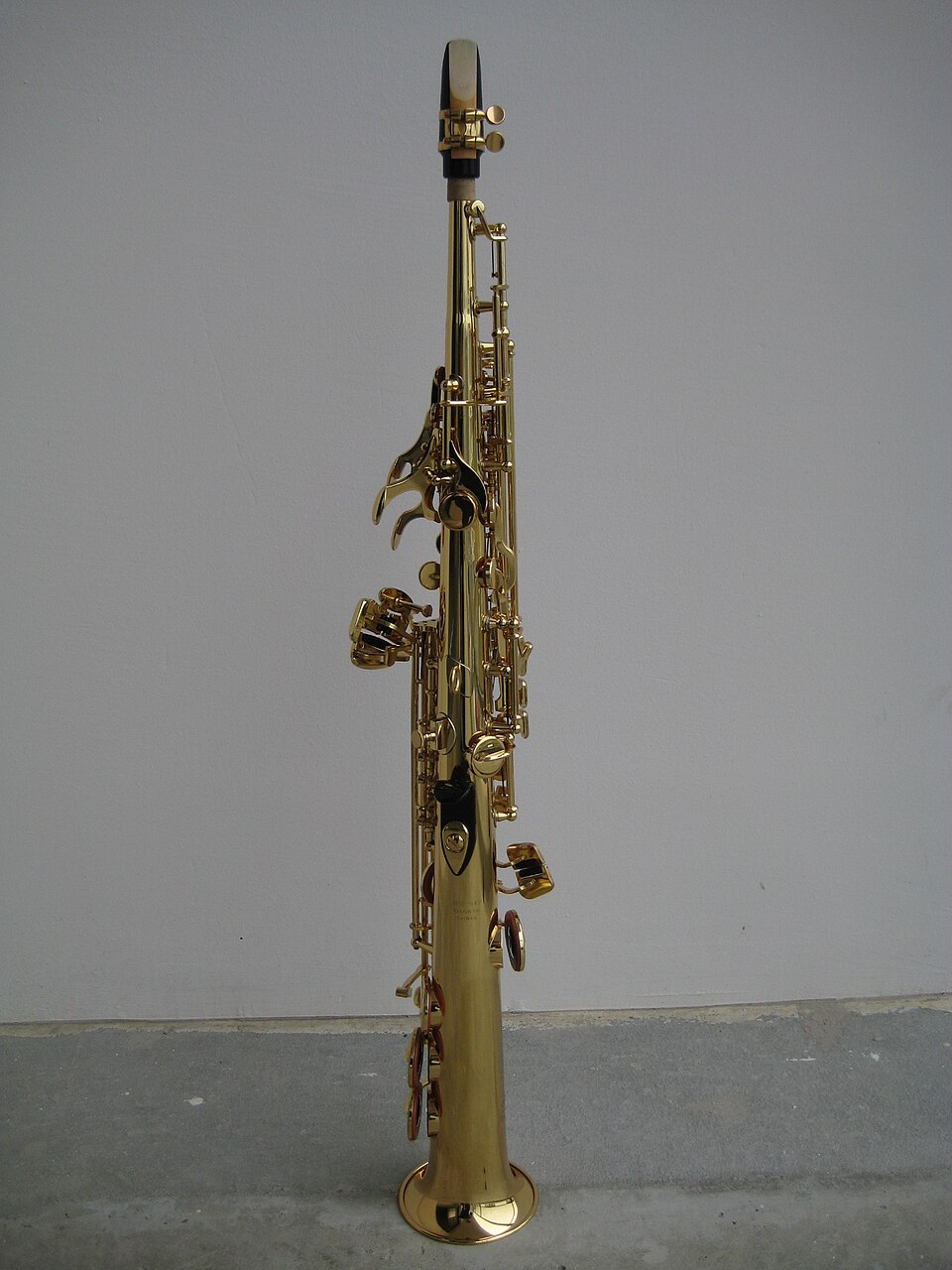 Single reed instrument