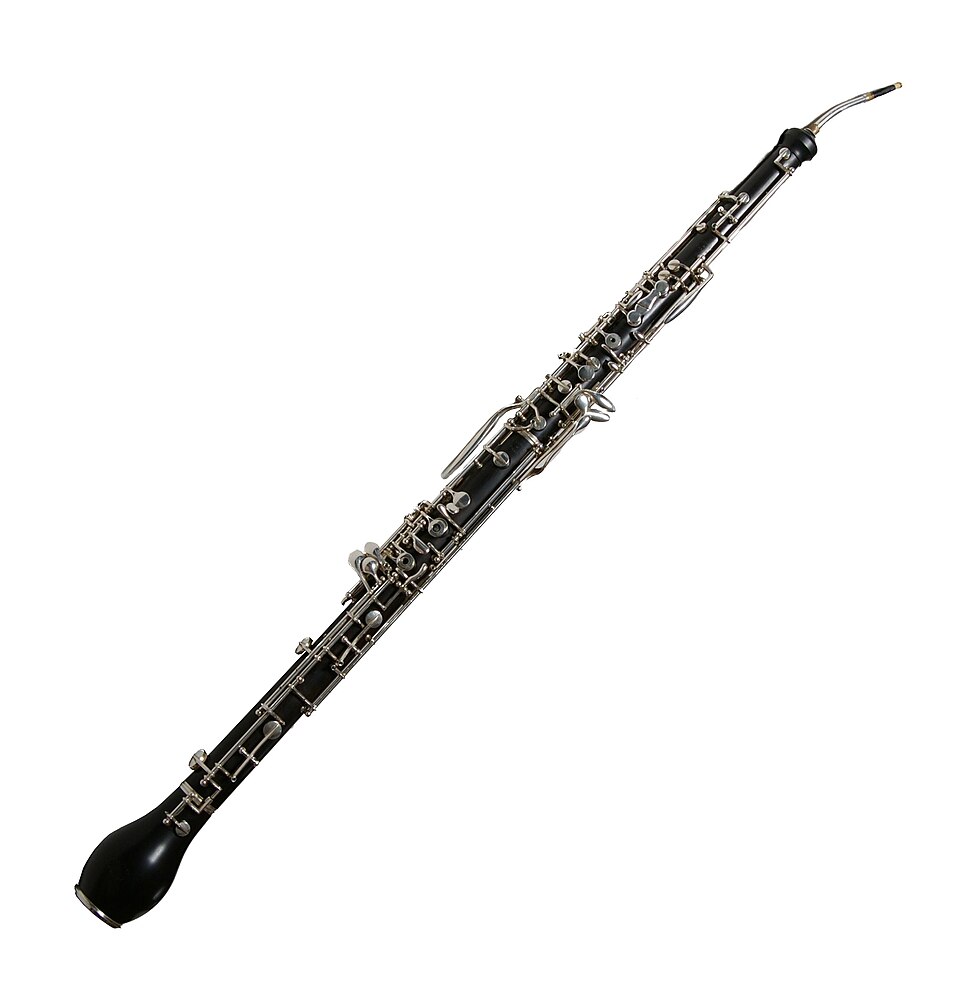 Double reed instrument
